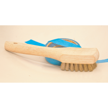 Brass bristle tire brush